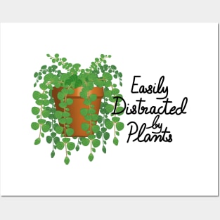 Easily Distracted By Plants - Peperomia Hope Posters and Art